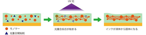 UVによる硬化の仕組み