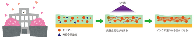 光重合の図