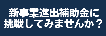 新事業進出補助金